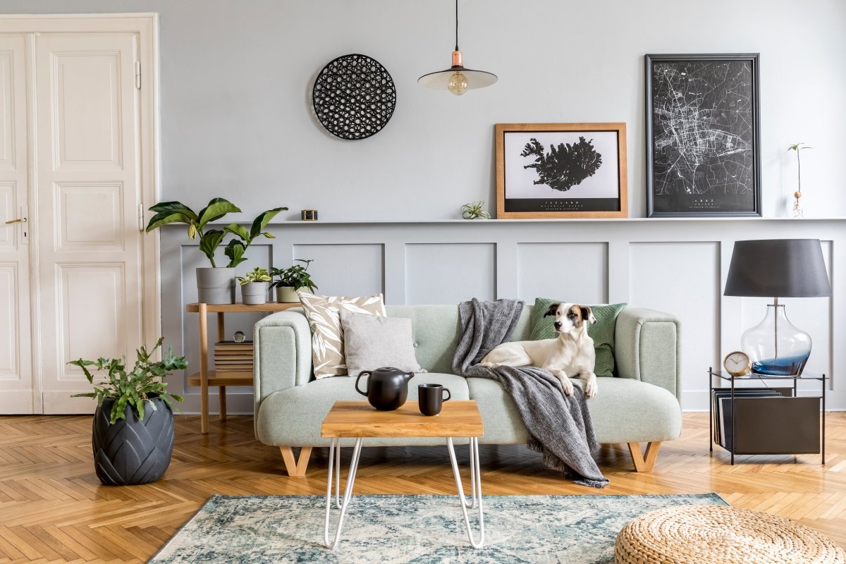 8 Gorgeous Modern Living Room Ideas to Upgrade Your Space - AURA