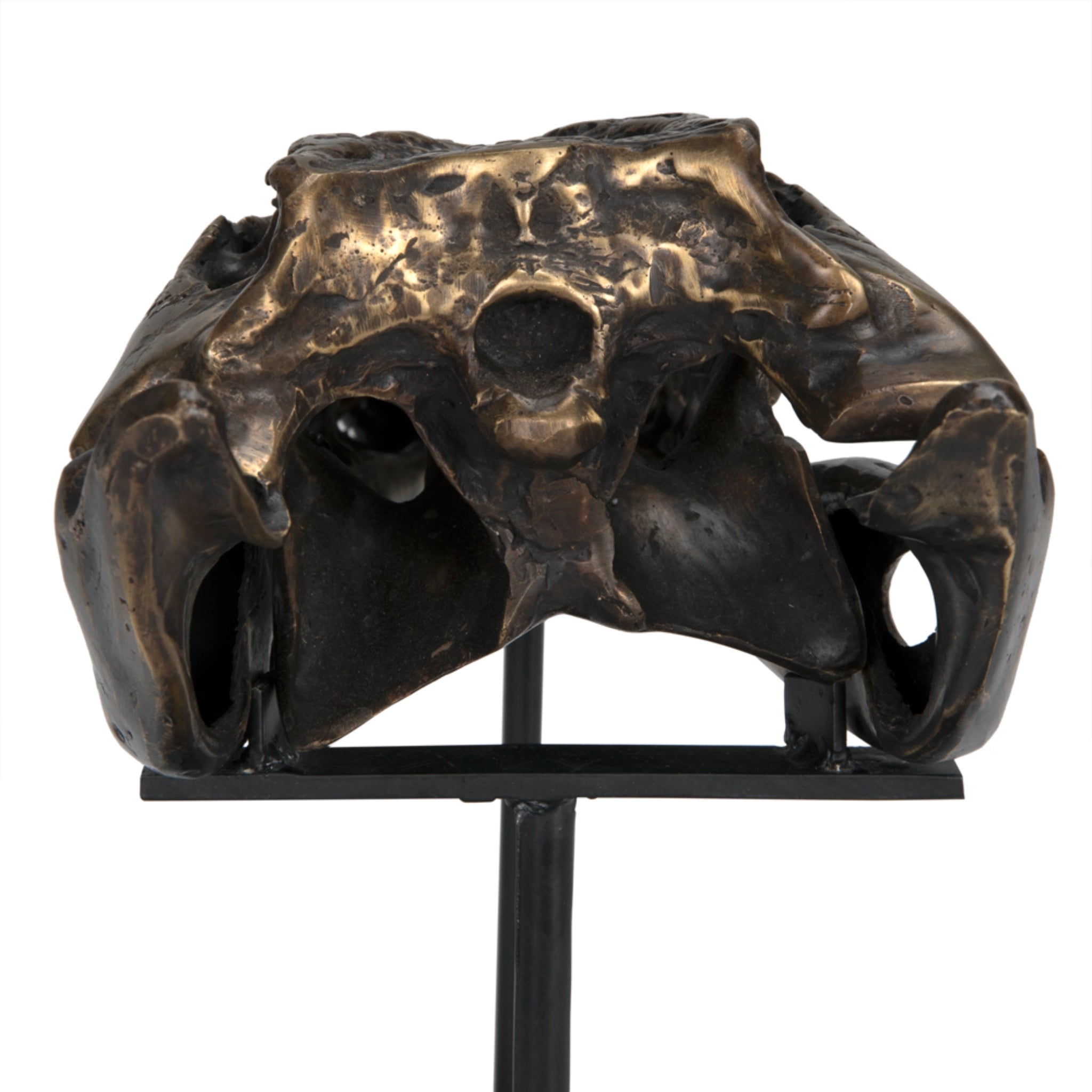 Brass Alligator On Stand Small In Antique Brass With Matte Black Base By Noir Ab 83S 7