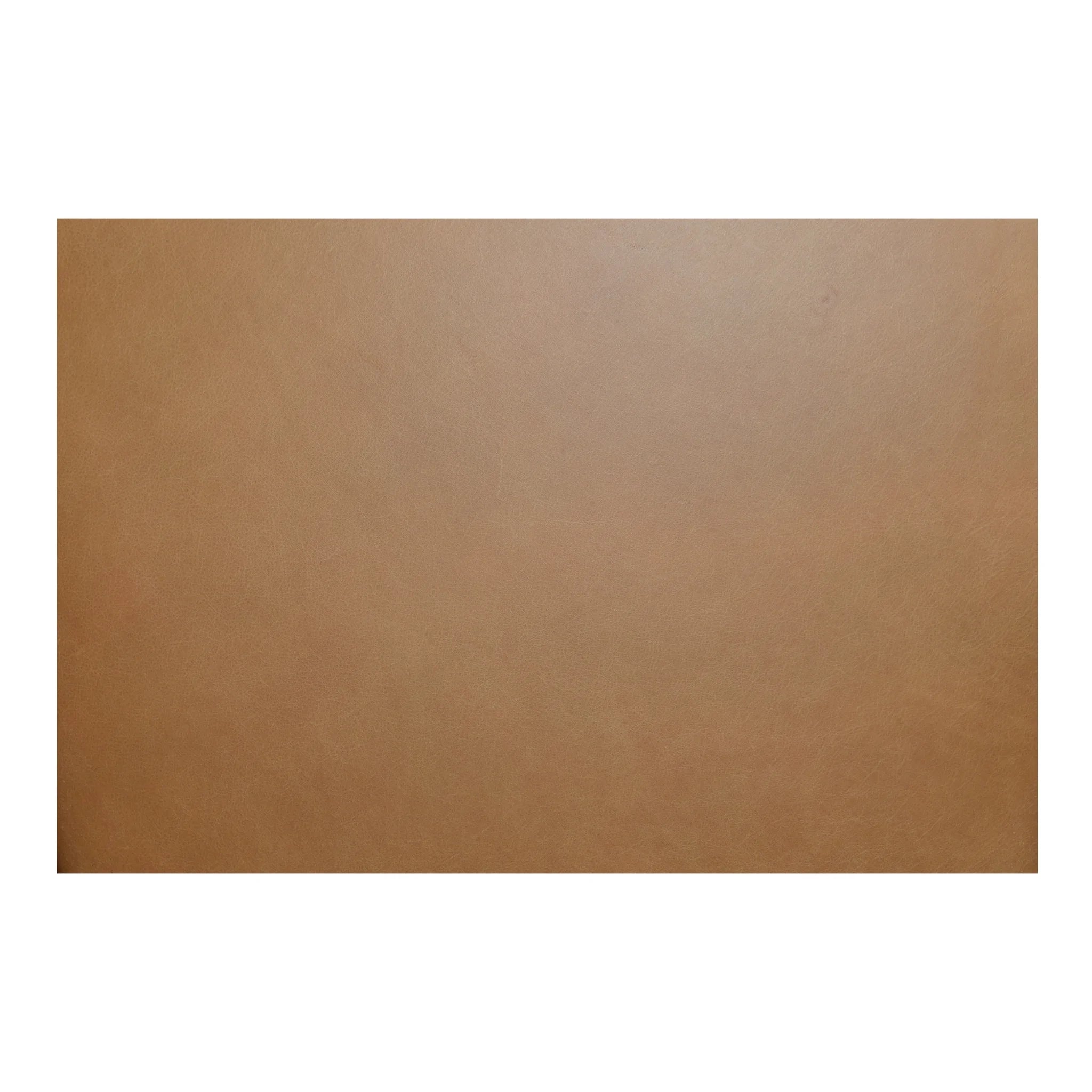Brown Leather Dining Chair with Wood Frame (GO-1022-03) by Moe's Home Collection image 7