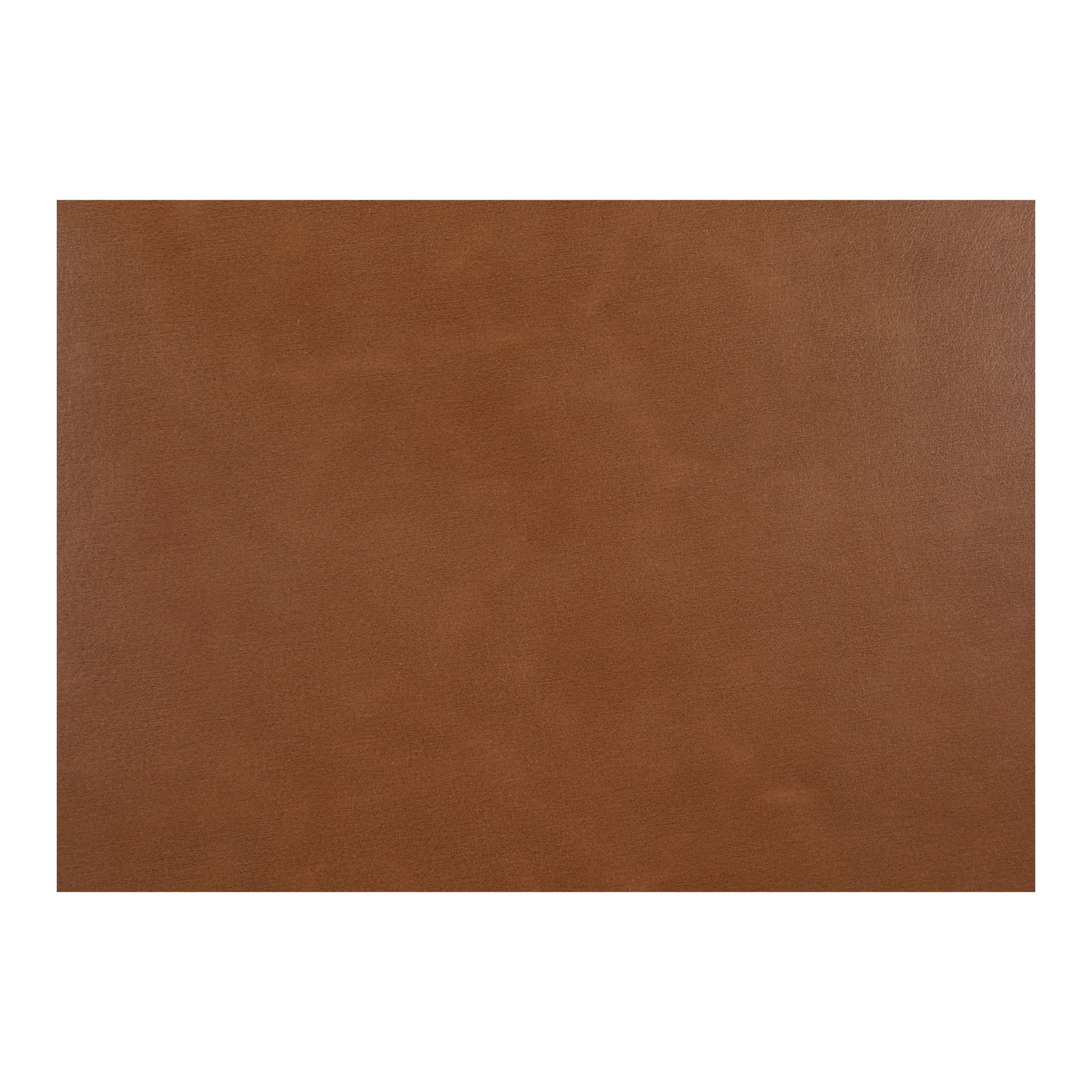Cognac Leather Dining Chair with Oval Back (ME-1069-03) by Moe's Home Collection image 7