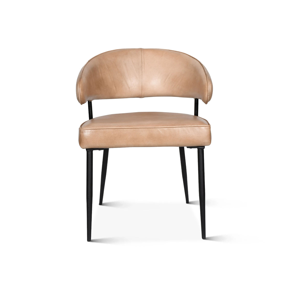 Ivory Leather Dining Armchair (FEX-DAC-AI) By Home Trends Direct 