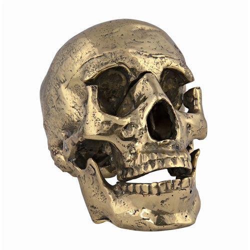 Grandfather Skull Sculpture in Antique Brass by Noir (AB-16)
